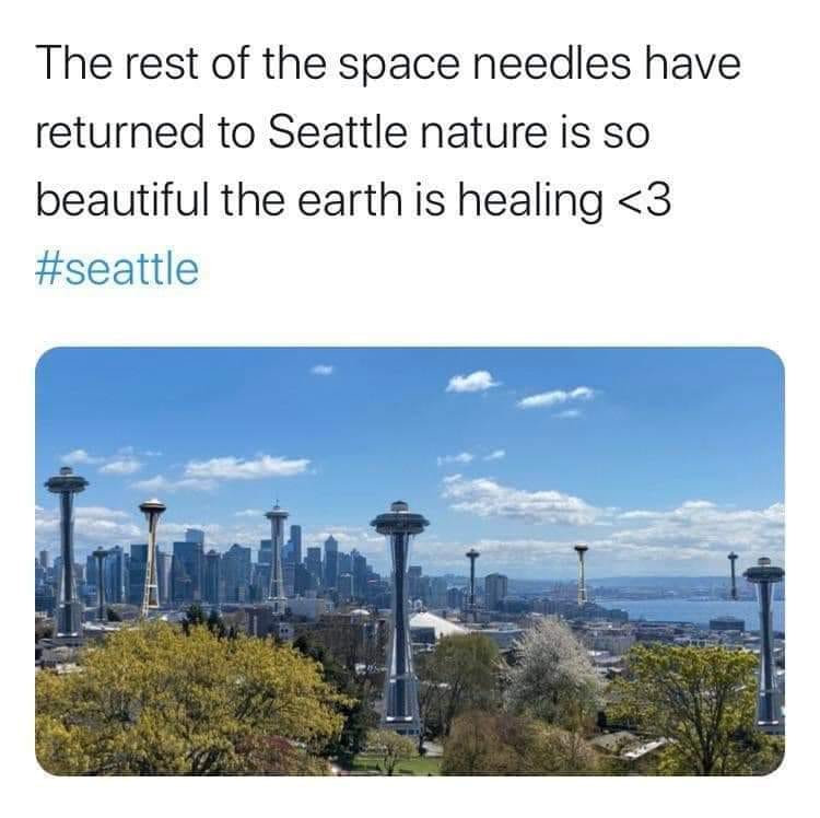 This meme is a humorous take on the city of Seattle, Washington. The image shows a photo of the city's skyline, with the iconic Space Needle in the foreground. The text above the image reads: "The rest of the space needles have returned to Seattle nature is so beautiful the earth is healing <3 #seattle"