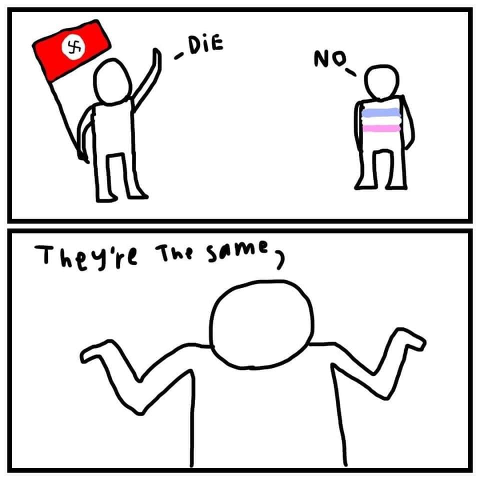 This meme is a simple comic strip that compares the differences in how people react to the deaths of Adolf Hitler and Anne Frank. The top panel shows a person holding a Nazi flag, shouting "Die!" (a play on the German word for "die"), and another person responding with "No!" The bottom panel shows the same person, now with a rainbow flag, and the same response, "They're the same!" The text emphasizes the absurdity of equating the deaths of two people with vastly different backgrounds and experiences.