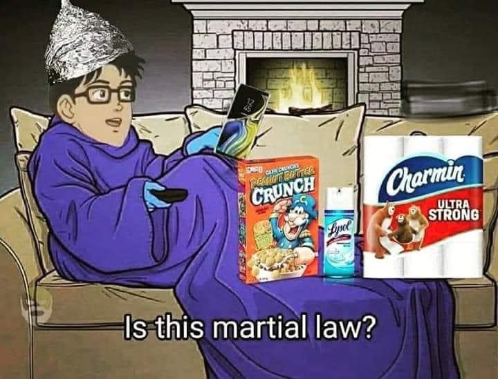 The meme features an image of a person sitting on a couch, surrounded by various comfort foods and household items. The person is wearing a "I'm with stupid" t-shirt and has a tin foil hat on their head. The text "Is this martial law?" appears at the bottom of the image, with a box of Charmin toilet paper at the bottom-left corner reading "ULTRA STRONG" with a monkey on the cover.