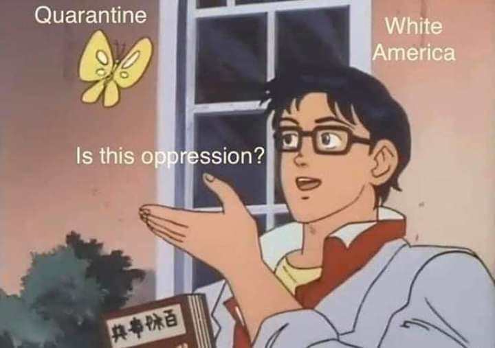 This meme features a character from a Japanese anime, "Lupin III," in a humorous situation. The character is holding a book with a title that translates to "The History of the World" in Japanese. The text overlayed on the image asks "Is this oppression?" and is followed by a yellow butterfly that is labeled as "quarantine" and "white America."