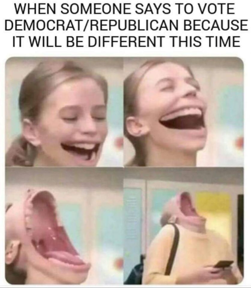 This meme is a humorous expression of frustration and exasperation. The image features a series of exaggerated, cartoon-like faces with wide, open mouths, conveying a sense of intense emotional response. The text at the top of the image reads, "When someone says to vote democrat/republican because it will be different this time."