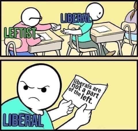 The meme is a humorous illustration of a person who identifies as a liberal, but is actually a left-leaning individual who is frustrated with the label of "liberal" being associated with the left. The text "liberals are not a part of the left" is written in a note that the person is holding, implying that they feel the term "liberal" is being misused to describe the left. The person's anger and frustration are conveyed through a scowling expression and a clenched fist.