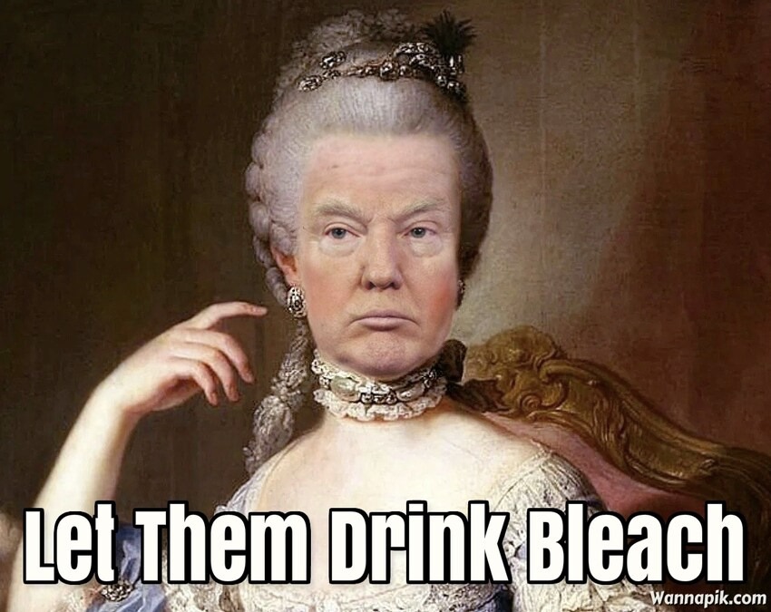This meme is a play on the phrase "Let them eat cake," a famous quote often misattributed to Marie Antoinette. In this version, the phrase is altered to "Let them drink bleach," a darkly humorous reference to the idea that some people might be willing to take drastic actions to get what they want. The image is likely a photo of a historical figure, possibly a royal or a politician, with a sarcastic or disapproving expression.