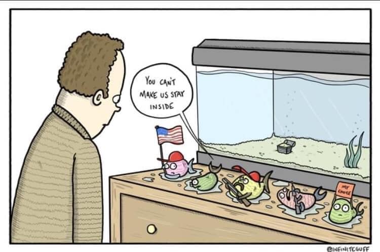 This meme is a humorous commentary on the COVID-19 pandemic. A man is shown standing in front of a fish tank, where a sign on the tank reads "You can't make us stay inside" and a fish is holding a small American flag and a sign that says "My choice". The image is a satirical take on the idea that some people, especially those in power, are not following the rules to stay safe during the pandemic.