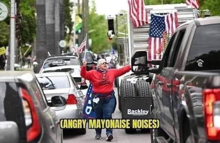 The meme is a photo of a woman standing in the middle of a busy road, holding an American flag and yelling at cars. The text "ANGRY MAYONNAISE NOISES" is overlaid on top of the image, implying that the woman's loud, angry noises are similar to the sound of a mayonnaise jar being opened. The image is meant to be humorous and relatable, poking fun at the idea that some people can be so angry or frustrated that they become loud and obnoxious.