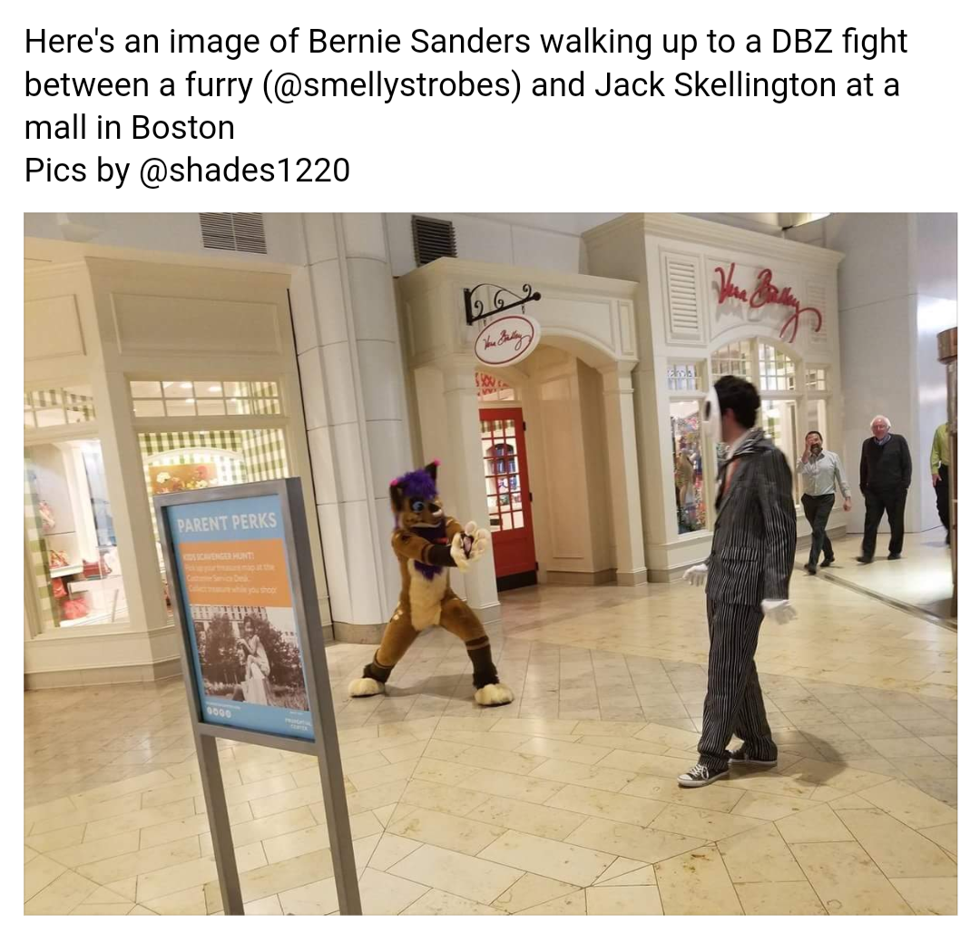 The meme is a humorous image of a person, Bernie Sanders, walking into a mall where he encounters a furry (a person in a furry costume) and a man dressed as Jack Skellington from the movie "The Nightmare Before Christmas". The image shows Bernie walking up to the furry and saying "I'm not going to make you a sandwich". The text at the top of the image reads "Here's an image of Bernie Sanders walking up to a DBZ fight between a furry and Jack Skellington".