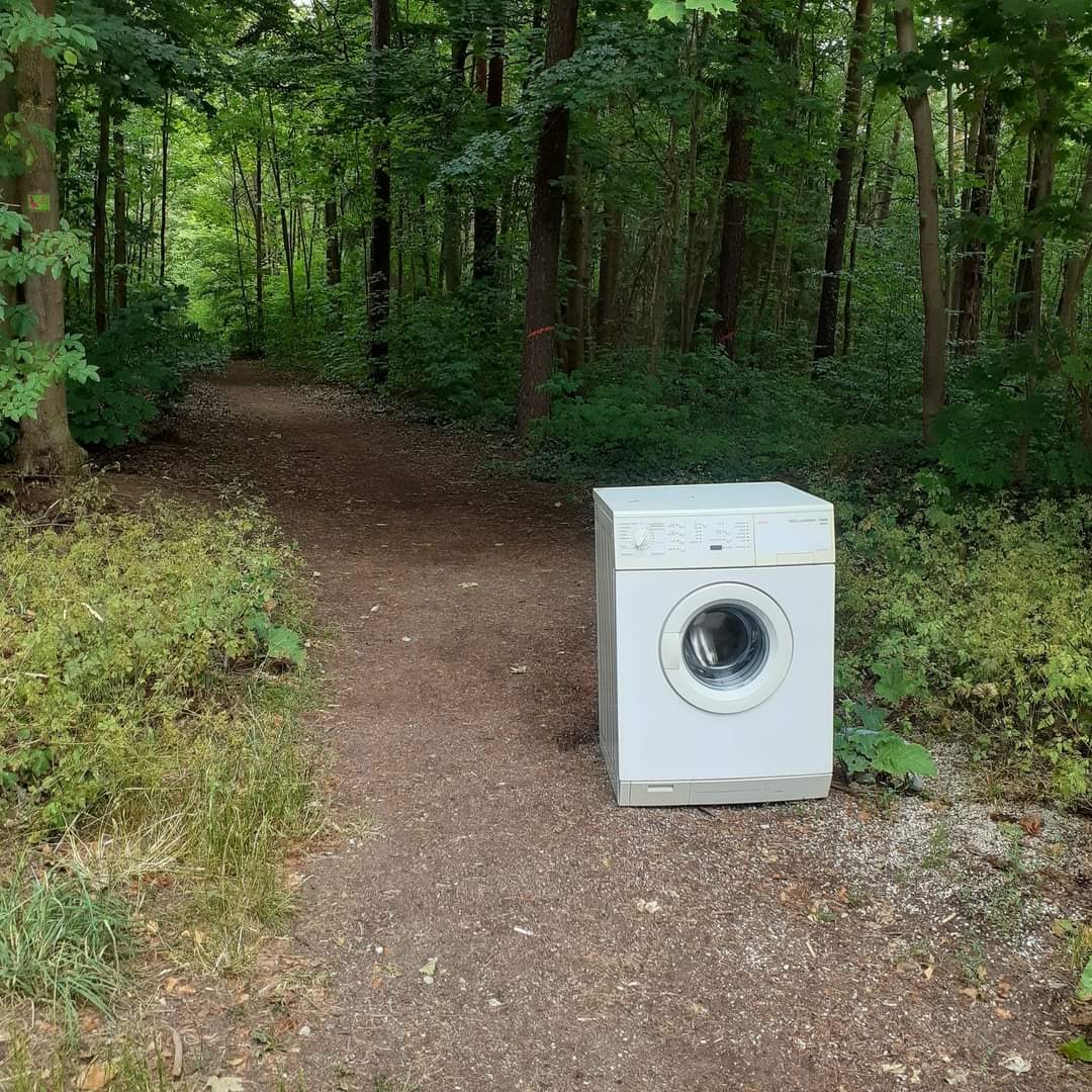 This meme is a photo of a washing machine in the middle of a forest, surrounded by trees and foliage. The image is captioned "when you finally find the perfect spot for your outdoor laundry". The humor comes from the absurdity of placing a washing machine in a natural environment, implying that someone has gone to great effort to find a spot to do laundry in the middle of a forest.