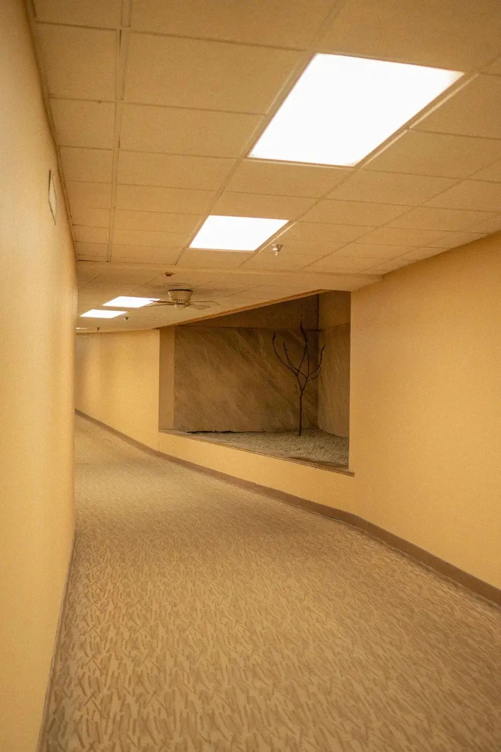 The meme is an image of a long, empty hallway with a small, dimly lit room at the far end. The room appears to be a small, bare space with a single, dead tree in the center. The text "I have 1000 sqft of empty space" appears above the image, implying that the room is a large, empty space that is not being used.