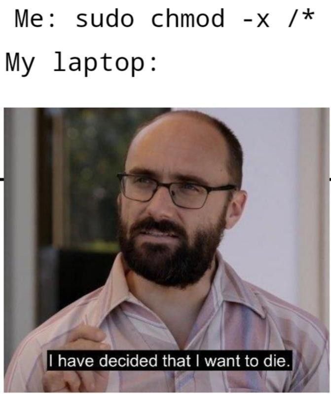 This meme is a humorous image that pokes fun at the frustration of using Linux's command line interface. The top text reads "Me: sudo chmod -x /" and "My laptop: I have decided that I want to die." The image is a screenshot from a TV show where a character says this line, and the humor comes from the absurdity of a laptop's response to a command. The meme is relatable to those who have experienced the frustration of using Linux's command line interface.