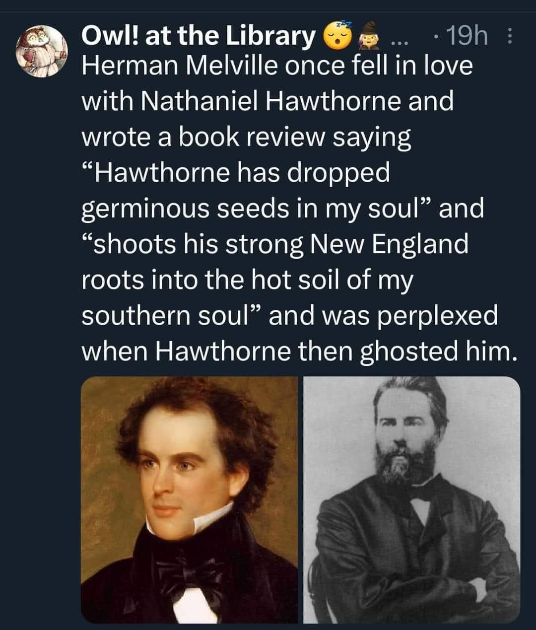 This meme is a humorous comparison between two authors, Nathaniel Hawthorne and Herman Melville. The text on the image reads: "Herman Melville once fell in love with Nathaniel Hawthorne and wrote a book review saying 'Hawthorne has dropped germinous seeds in my soul' and 'Hawthorne shoots his strong New England roots into the hot soil of my southern soul' and was perplexed when Hawthorne then ghosted him."