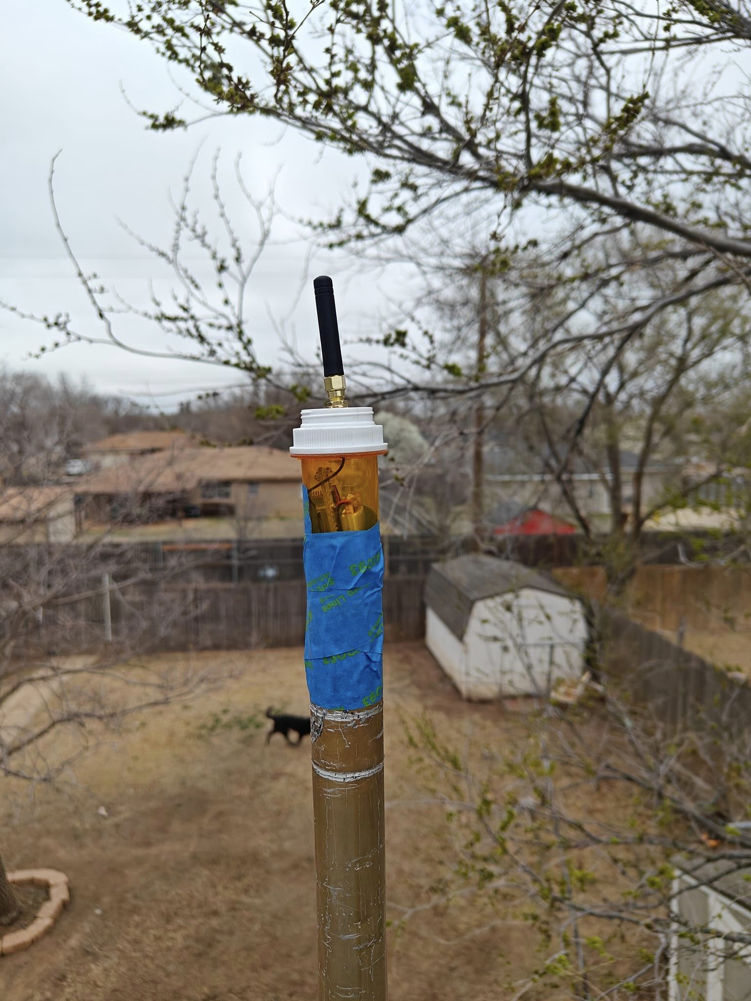 The meme is a photo of a Wi-Fi router stuck in a tree, with a humorous caption. The image shows a router attached to a tree branch, with a "Wi-Fi" sign on the tree, and a "No Wi-Fi" sign on the router, which is a play on the idea of a "No Wi-Fi" sign being placed on a device that is actually a Wi-Fi router.