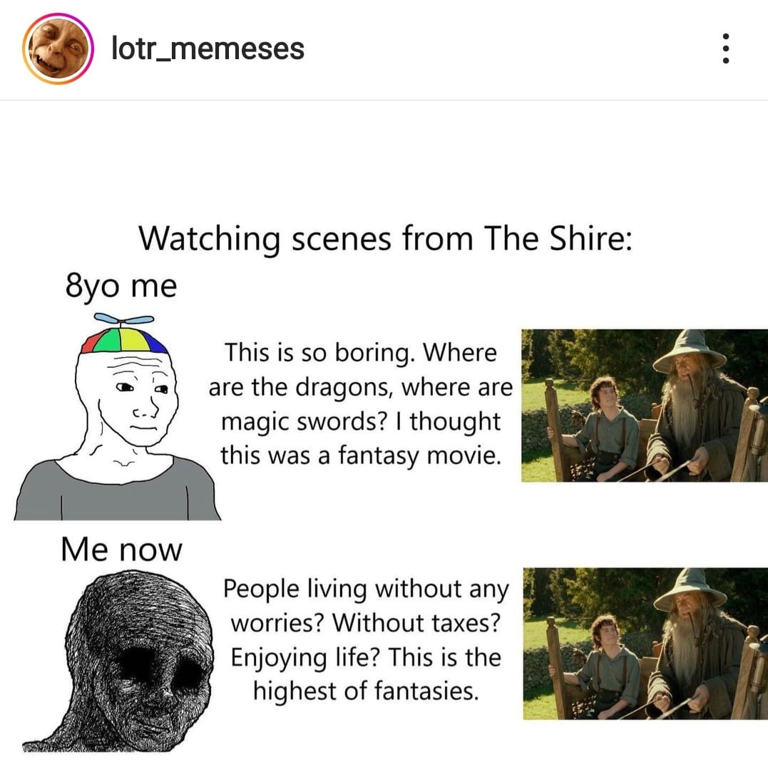 This meme is a humorous comparison between the author's experience of watching The Shire as a child and as an adult. The text "8yo me" is followed by a description of the child's excitement and curiosity about the fantastical elements of the story, such as dragons and magic. The text "Me now" is followed by a sarcastic and humorous description of the adult's current feelings of frustration and boredom.