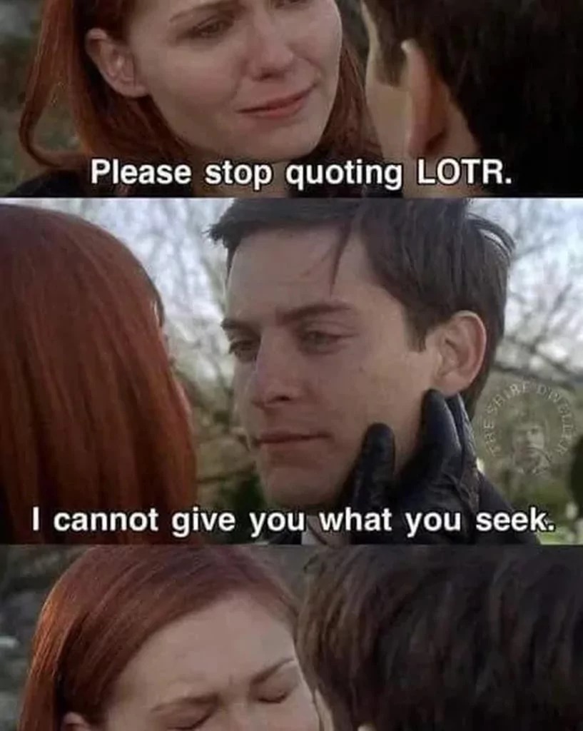 The meme is a humorous reimagining of a famous scene from the movie "The Lord of the Rings: The Fellowship of the Ring" where a character named Gollum is trying to persuade a hobbit named Frodo to give him the One Ring. In this meme, the character's dialogue is replaced with a modern-day phrase, "Please stop quoting LOTR" and a response from Gollum saying "I cannot give you what you do not seek".