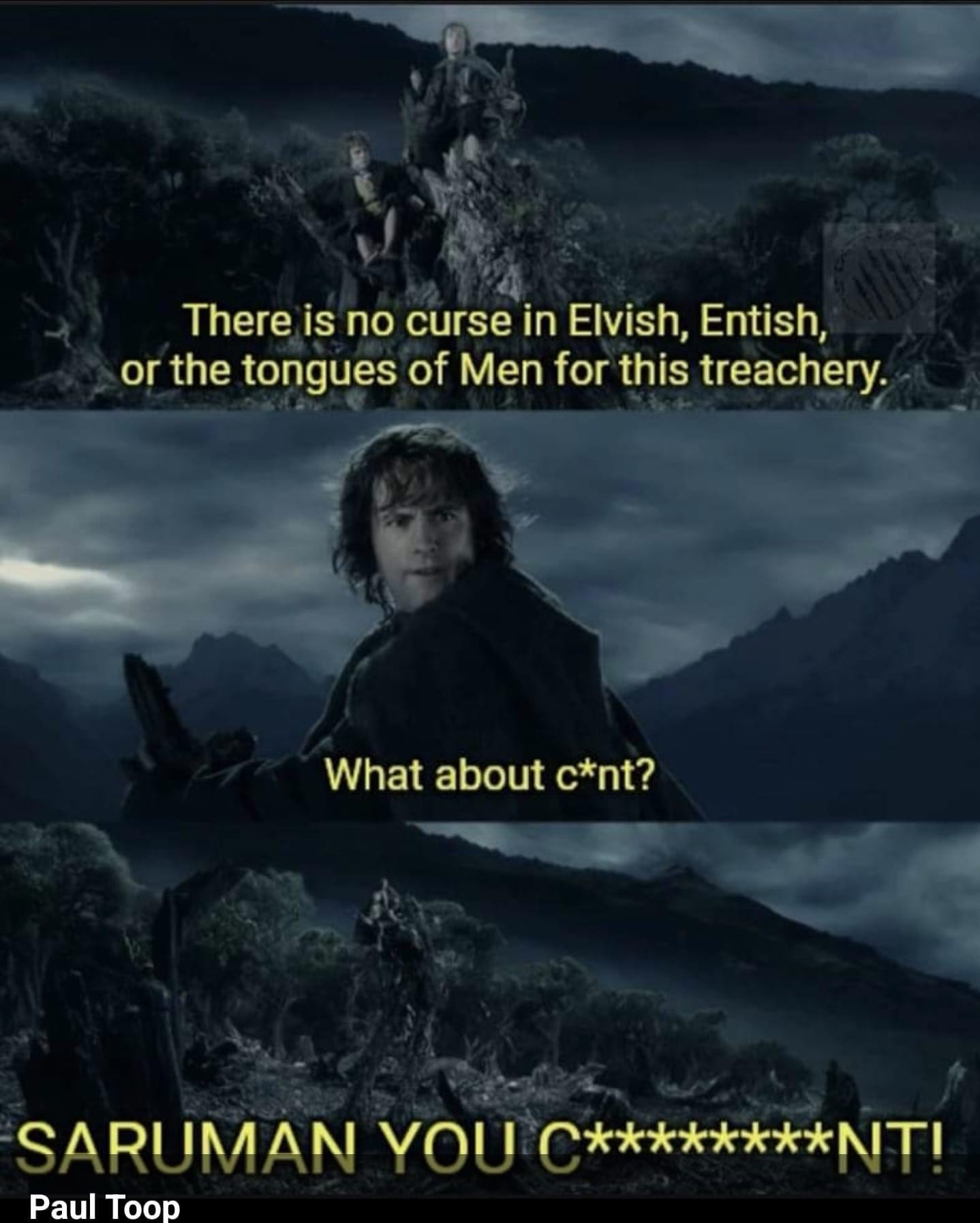 The meme is a humorous interpretation of a famous quote from the movie "The Lord of the Rings" by J.R. Tolkien. The original quote is "There is no curse in Elvish, English, or the tongues of Men for this treachery." The meme replaces "Elvish" with "C*nt" and the rest of the quote with "What about c*nt?". The meme is poking fun at the idea that someone would use a curse word in a formal setting, like in a quote from a fantasy book.