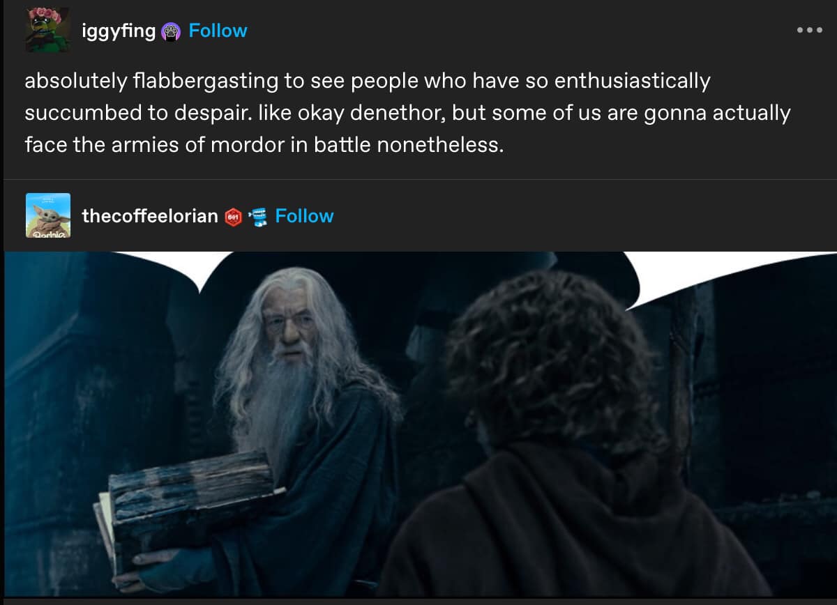 The meme is a screenshot of a scene from the movie "The Lord of the Rings" where Gandalf is telling the story of the One Ring to the hobbits. The text above the image reads: "Absolutely flabbergasting to see people who have so enthusiastically succumbed to despair. Like okay, Denethor, but some of us are going to face the armies of Mordor in battle, never. The image shows Gandalf holding a book and looking at a hobbit, while the hobbit looks back at him with a concerned expression.