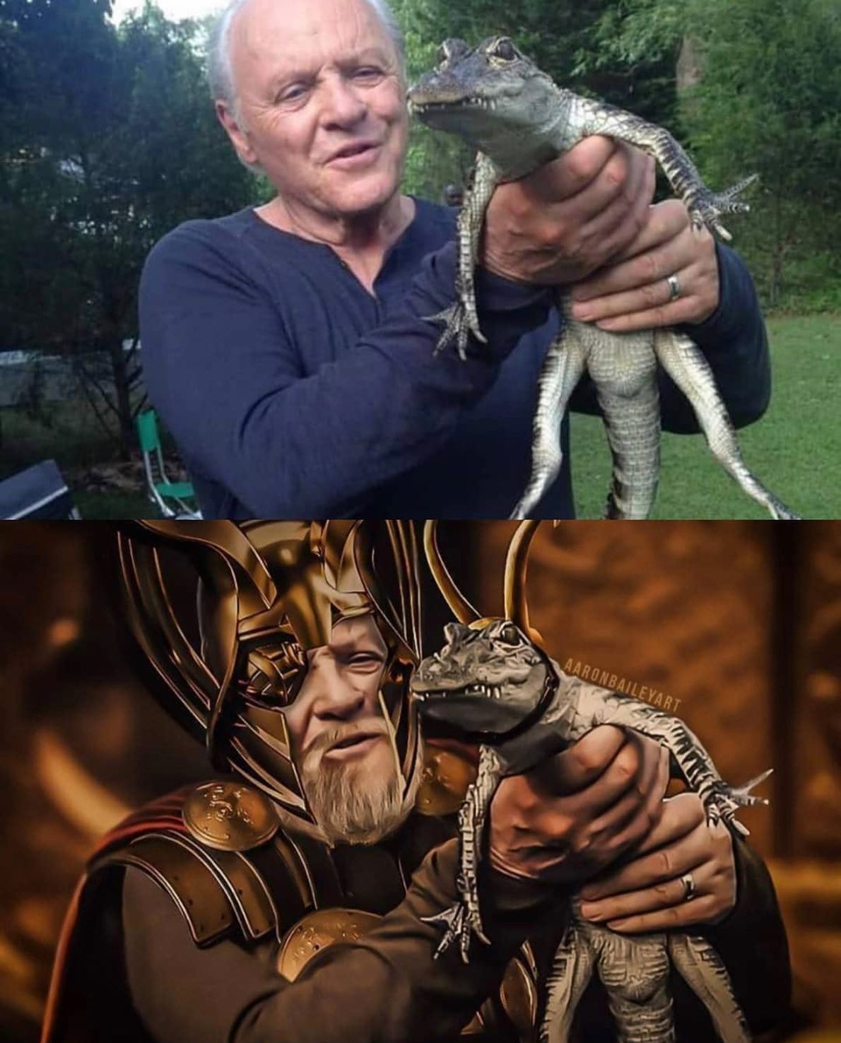 This meme is a split-image comparison of two different photos. The top photo shows a man holding a small alligator, while the bottom photo shows a man holding a small alligator in a similar pose, but dressed as the character Thor from the Marvel movies. The text "Thor" is written above the bottom photo.