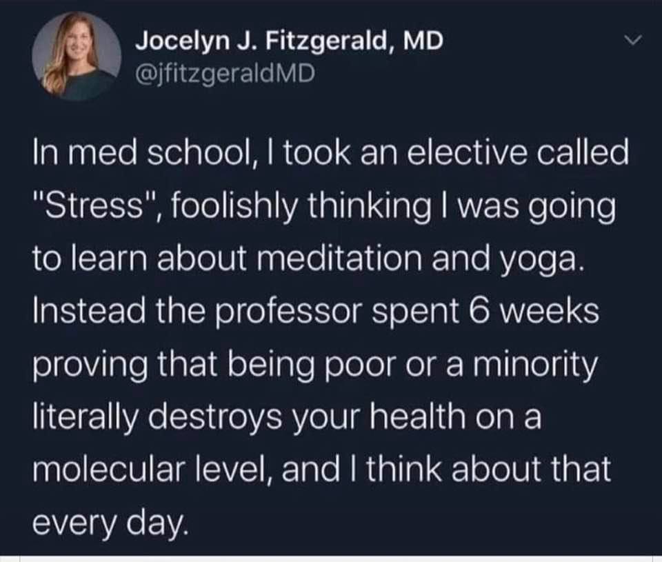 The meme is a tweet from a doctor who had an elective called "Stress" in med school. The tweet says: "In med school, I took an elective called 'Stress', foolishly thinking I was going to learn about meditation and yoga. Instead, the professor spent 6 weeks proving that being poor or a minority literally destroys your health on a molecular level, and I thought about that every day."