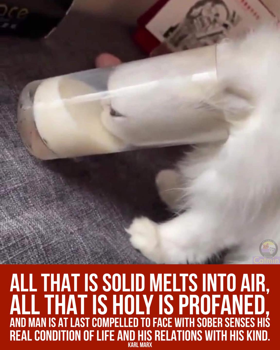 This meme features a photo of a cat drinking milk from a carton, with the cat's head and body partially submerged in the carton. The image is accompanied by a quote from Karl Marx's "The Communist Manifesto" that has been modified to be about a cat's love of milk. The quote is presented in a humorous and irreverent way, as is typical of internet memes.