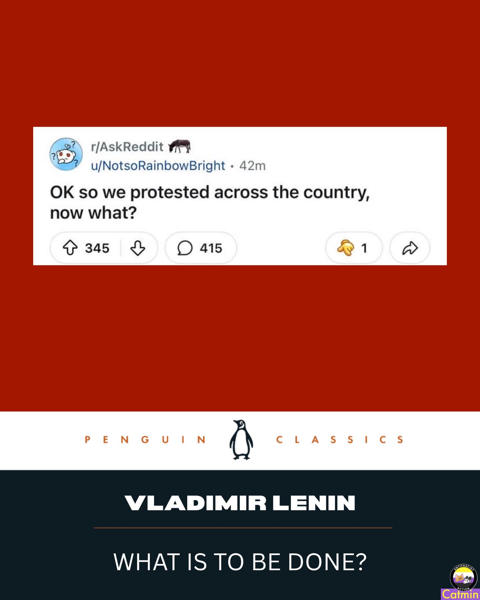 This meme is a screenshot of a Reddit post where someone is asking for advice on what to do after being protested across the country. The post is humorous and ironic, implying that the person is seeking a new way to protest, rather than actually doing something. The text reads: "OK so we protested across the country, now what?"
