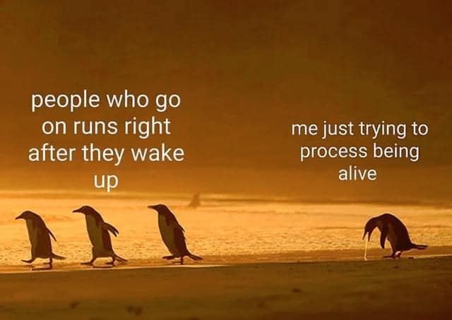 This meme is a humorous observation about the contrast between people who exercise regularly and those who don't. The image depicts a group of penguins walking in a line, with the first penguin saying "people who go on runs right after they wake up" and the second penguin responding "me just trying to breathe".