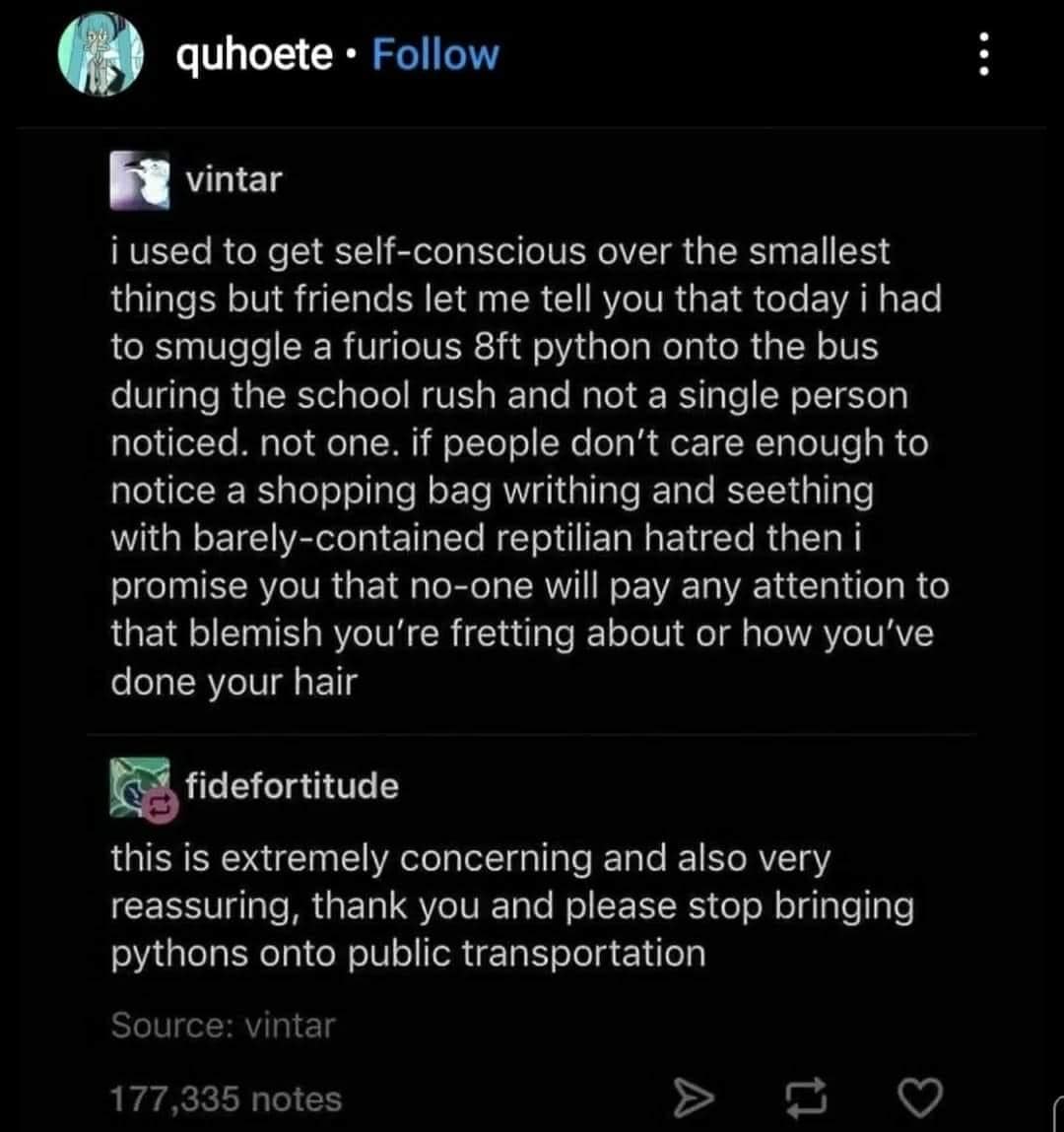 The meme is a screenshot of a Reddit comment thread where a user shares a personal story of self-consciousness and embarrassment. The user describes a situation where they had to smuggle a 8-foot long python on a school bus, and the other students' reactions to the situation. The user jokes that they would pay any attention to a blemish on their skin, but the other students would pay attention to their blemish, and the user would pay attention to their blemish, but the other students would not pay attention to their blemish.  The text of the comment is: "i used to get self-conscious over the smallest things but friends let me tell you that today i had to smuggle a furious 8ft python on the bus during the school rush and not a single person noticed not one. if people don't care enough to notice a shopping bag writhing and seething with barely contained reptilian hatred then i promise you that no one will pay any attention to that blemish you're fretting about or how you've done your hair."