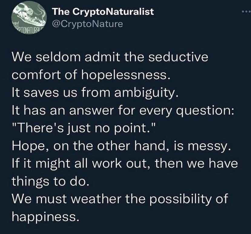 The meme is a humorous commentary on the concept of hope. It begins with a quote that acknowledges the seductive nature of hope, but then subverts it by stating that hope is actually a mess, and that it's not a reliable or stable thing. The final line, "We must weather the possibility of happiness," is a poignant and thought-provoking conclusion.