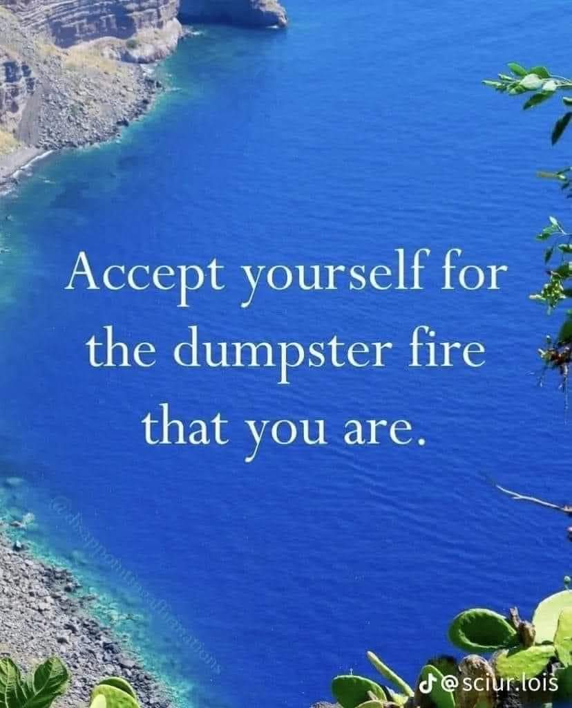 The meme is a humorous take on the concept of self-acceptance, using the phrase "accept yourself for the dumpster fire that you are" to poke fun at the idea of self-acceptance. The image is likely a humorous, relatabl...