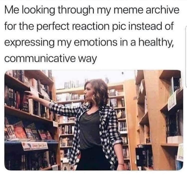 The meme is a photo of a woman browsing through a bookshelf in a library. The text above the image reads: "Me looking through my meme archive for the perfect reaction image instead of expressing my emotions in a healthy, communicative way." The image is humorous because it pokes fun at the tendency to rely on memes and reaction images to express oneself, rather than using more direct and honest communication.
