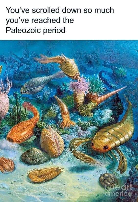 This meme is a humorous commentary on the vastness of online content. The image shows a fantastical underwater scene featuring various prehistoric creatures, such as dinosaurs and sea monsters. The text "You've scrolled down so much you've reached the Paleozoic era" is a humorous exaggeration of the feeling of being overwhelmed by online content.