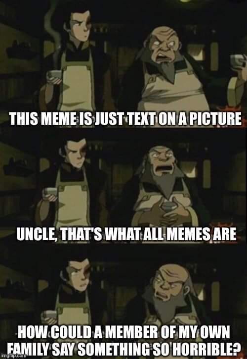 This meme is a screenshot from the animated TV series "Avatar: The Last Airbender". It features a character named Iroku, who is known for his grumpy and sarcastic personality. In the image, Iroku is saying "This meme is just text on a picture. What's so horrible about that?" which is a humorous commentary on the simplicity of modern memes.
