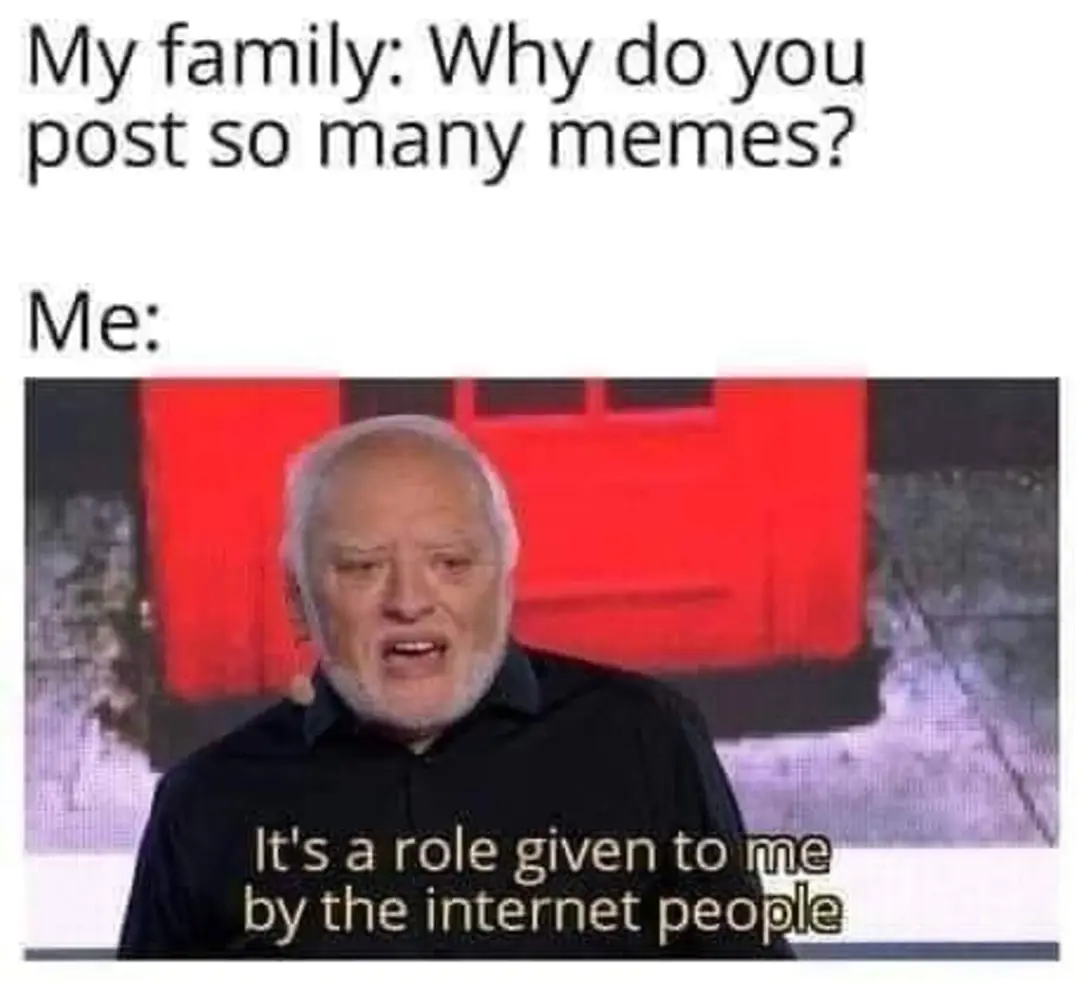 This meme features a screenshot of a person's response to a question about why they post many memes. The response is a sarcastic quote from a famous internet character, "It's a role given to me by the internet people." The image is likely a humorous way to poke fun at the idea that people are often assigned roles or responsibilities by others.