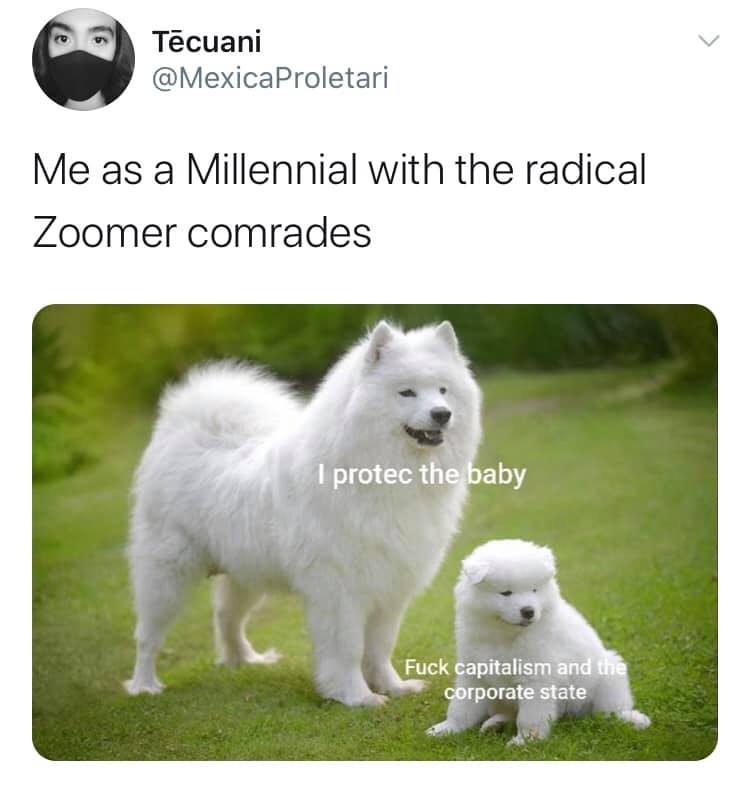 This meme is a humorous commentary on the differences between the younger and older generations. The image features a large white dog and a small white puppy, with text overlaid on them. The text reads: "I protect the baby" (referring to the larger dog) and "I f*** capitalism and the corporate state" (referring to the smaller puppy). The meme is poking fun at the idea that younger generations (like "millennials") are more radical and anti-establishment, while older generations (like "zoomers") are more conservative and pro-establishment.