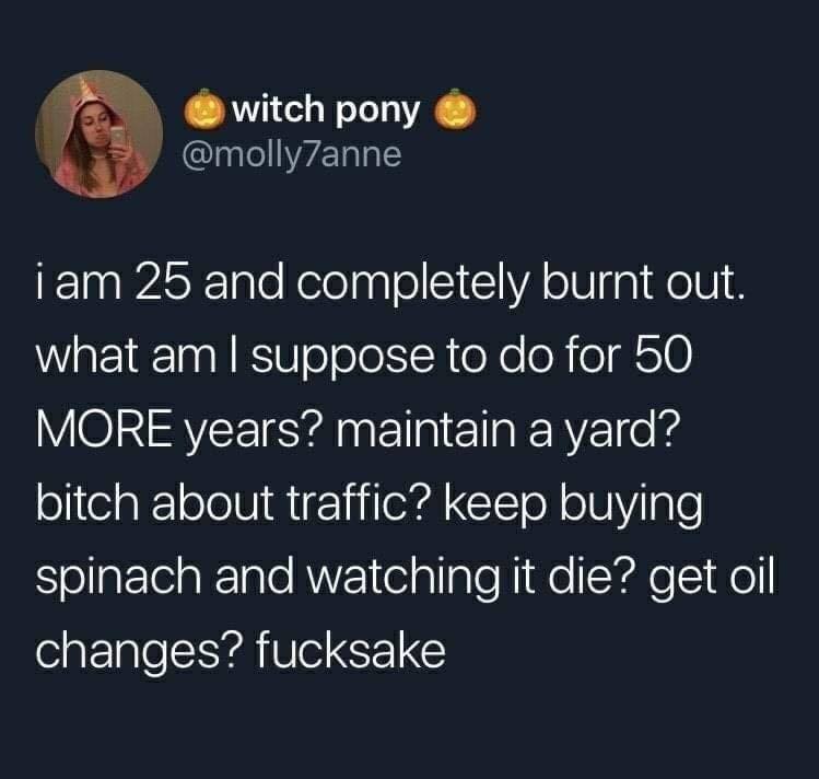 This meme is a humorous and relatable rant from a 25-year-old who feels burnt out and uncertain about their future. The text reads: "I'm 25 and completely burnt out. What am I supposed to do for the next 50 years?... I'm supposed to be doing something with my life, but I have no idea what that is." The tone is sarcastic and frustrated, with a dash of dark humor.