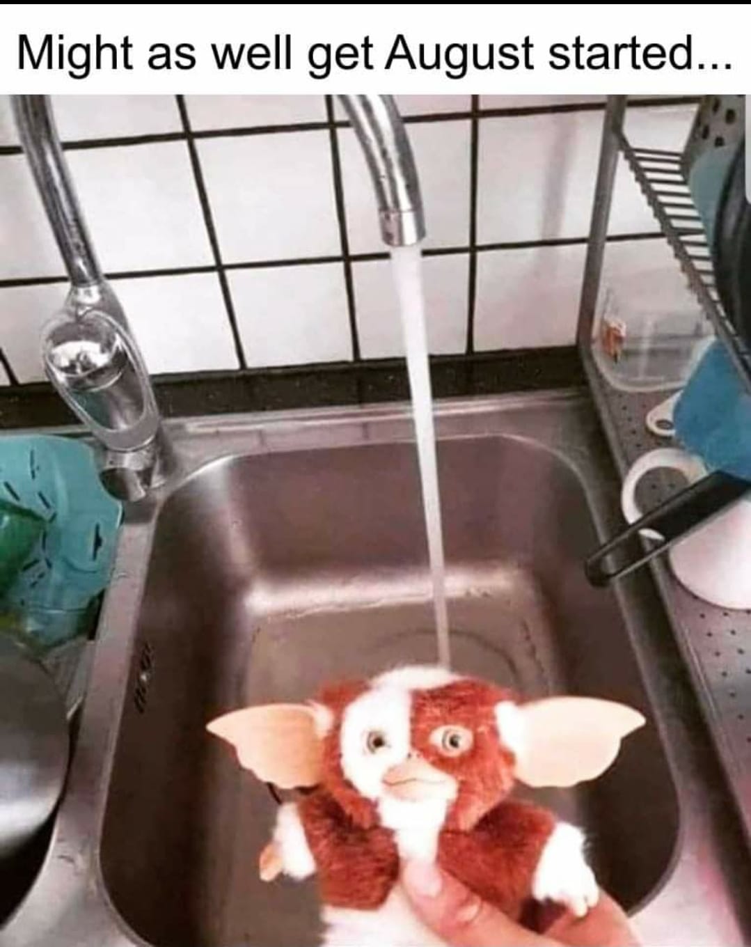 This meme features a photo of the Gremlin creature from the 1984 movie "Gremlin" being washed in a sink, with water flowing from the faucet. The image is captioned "Might as well get it over with... Might as well get August started..." The joke is that the creature is being "washed" in August, implying that the month of August is like a wash cycle, and the creature is being "cleaned" or "washed" by the month.