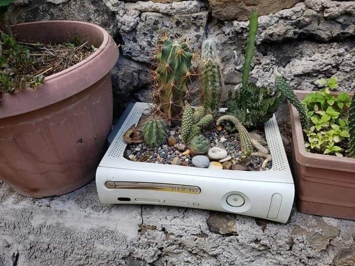 The meme is a photo of a small, well-kept garden in a container made from an old Xbox 360 console. The text "I'm not lazy, I'm just conserving energy" appears at the top of the image. The garden is filled with small plants and rocks, and the Xbox 360 is used as a creative and humorous way to repurpose an old electronic device.