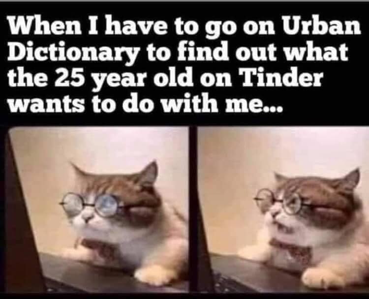 This meme features a humorous image of a cat wearing glasses and sitting at a desk with a book. The text above the image reads: "When I have to go on Urban Dictionary to find out what the 25-year-old on Tinder wants to do with me." The meme pokes fun at the idea that someone might need to look up definitions on a website to understand a person's dating profile or intentions.