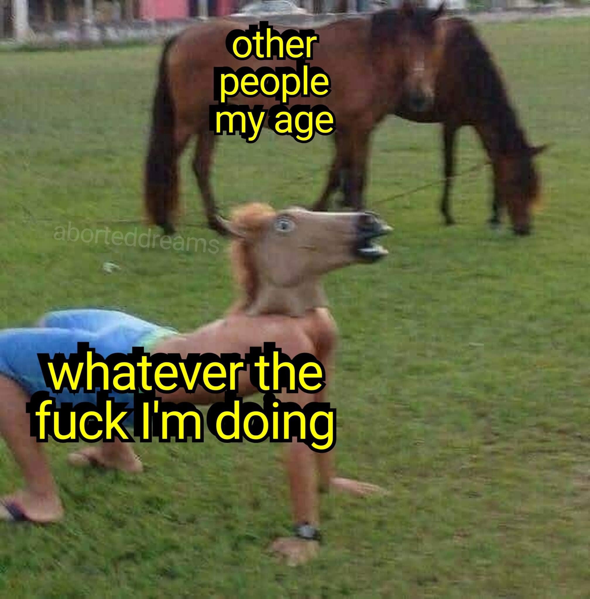 The meme features a photo of a horse-like creature in a humorous, awkward pose. The text overlaid on the image reads: "I'm not saying I'm old, but I remember when..." The rest of the text, "when horses were actually horses", is implied but not shown. The meme is likely poking fun at the idea that the creator is old and has a unique perspective on the world.