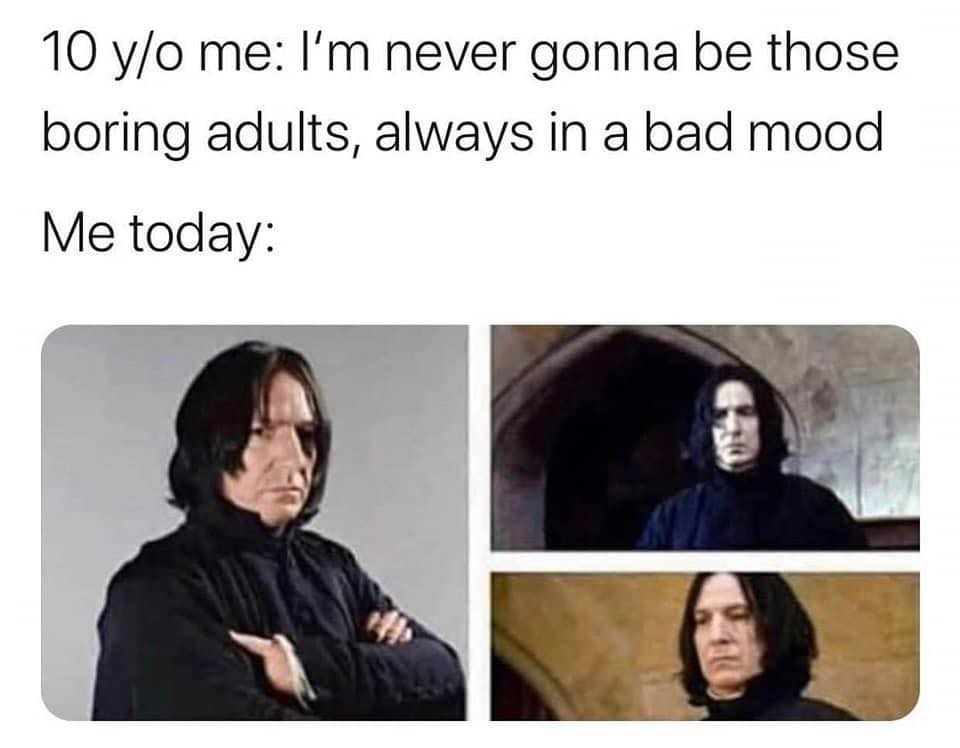 This meme is a humorous commentary on how people's attitudes towards being "boring" or "dull" change as they age. The text reads: "10 years ago: I'm never gonna be boring. Today: I'm never gonna be boring." The meme features a series of images of actor Alan Rickman, who played the character of Severus Snape in the Harry Potter series, looking increasingly disinterested and unimpressed.