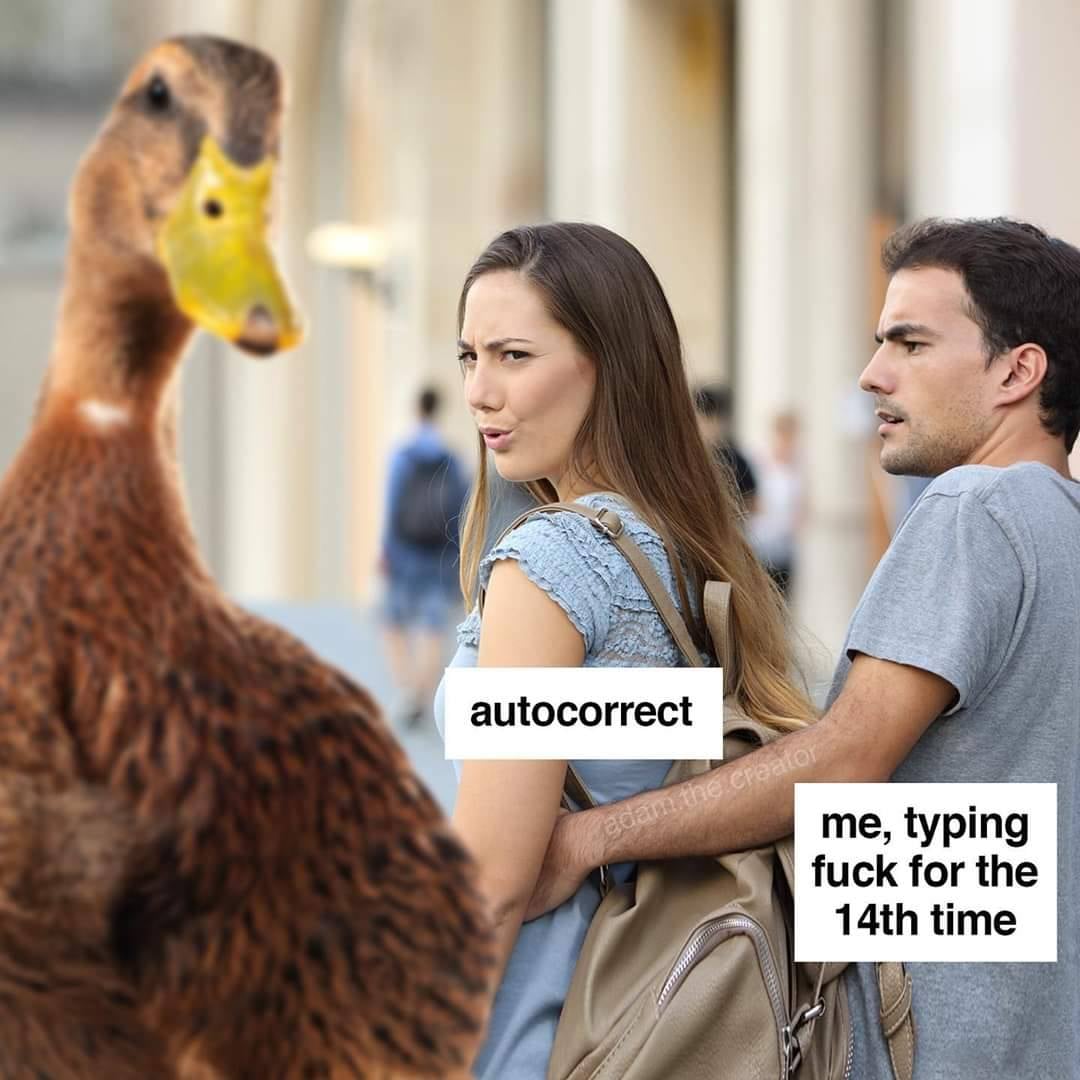 This meme features a photo of a couple being approached by a giant, aggressive-looking duck. The woman is looking at the duck with a mix of fear and annoyance, while the man is trying to protect her. The text overlayed on the image reads "autocorrect" and "me, typing 'fuck' for the 14th time". The meme is a humorous commentary on the frustration of using autocorrect on a phone, where the device's attempts to correct spelling mistakes can lead to embarrassing or awkward results.