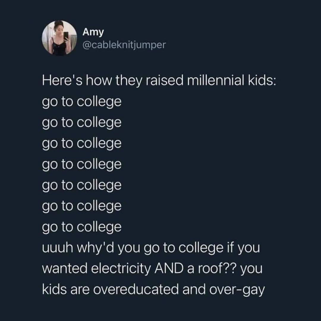 This meme is a humorous rant from a millennial's perspective on how their parents' generation (Gen X and Baby Boomers) didn't understand or support their needs as children. The text says "Here's how they raised millennial kids: go to college, get a job, get married, have kids, repeat. But we did it differently: go to college, get a job, get married, get a divorce, get a tattoo, get a job, get a house, get a dog, get a cat, get a kid, get a divorce, get a job, get a house, get a divorce, get a job..."