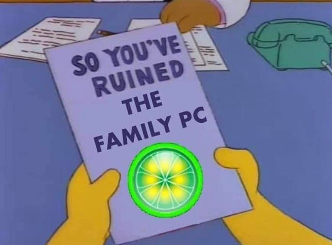 This meme is a screenshot from the animated TV series "The Simpsons." It shows Homer Simpson's hands holding a piece of paper that reads "So you've ruined The Family PC" and features the iconic "You've Ruined The Family PC" error screen from the classic video game "The Sims." The image is humorous because it's a relatable and ironic take on the frustration of losing progress in a game.