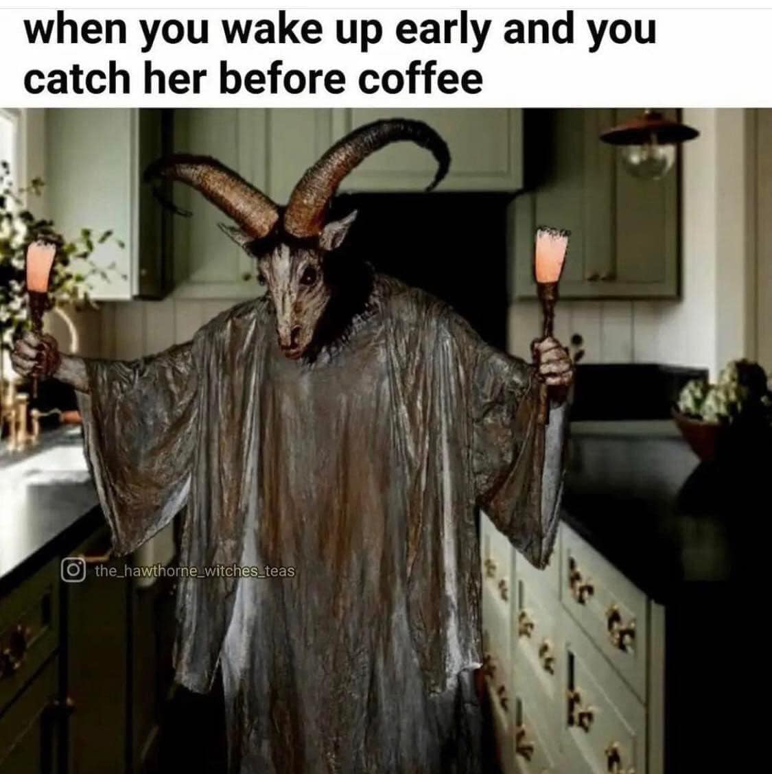 The meme is a humorous image of a creature with horns and a long, pointed nose, wearing a bathrobe and holding two cups of coffee. The text above the image reads, "When you wake up early and you catch her before coffee." The image is meant to be a humorous representation of a person's morning routine, exaggerating the importance of coffee in the morning.