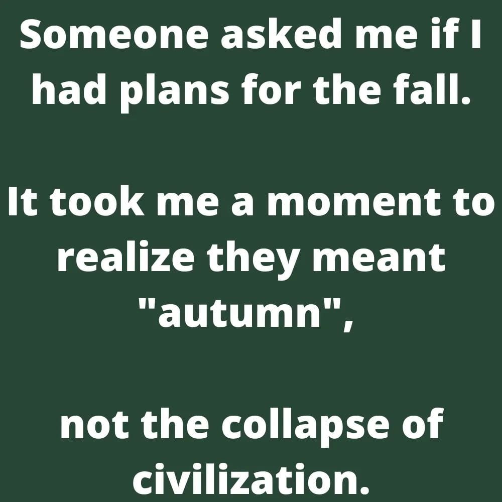 This meme is a humorous response to a person's inquiry about their plans for the fall season. The text reads: "Someone asked me if I had plans for the fall. It took me a moment to realize they meant 'autumn', not the collapse of civilization." The meme pokes fun at the idea that someone might think the word "fall" has a different, apocalyptic meaning.