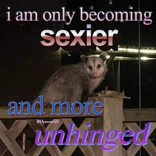 The meme features a photo of a raccoon with a caption that reads "i am only becoming sexier and more unhinged". The image is likely a humorous take on the idea of a person's personality or behavior becoming more wild or unpredictable as they become more confident or self-assured. The use of the word "sexier" is likely ironic or sarcastic, implying that the person is not actually becoming more attractive or charming.