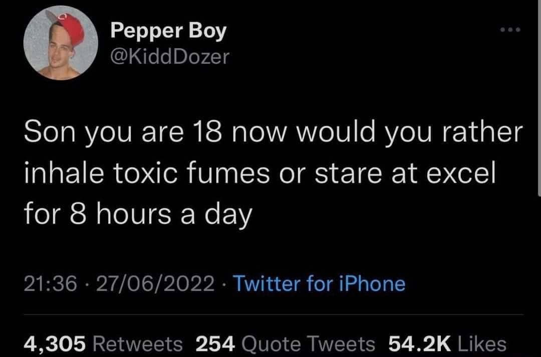 The meme is a humorous tweet that imagines a scenario where a person who is currently 18 years old is now 18 years in the future, and is asked what they would do differently if they could go back in time. The text reads: "Son you are 18 now would you rather inhale toxic fumes or stare at excel for 8 hours a day".