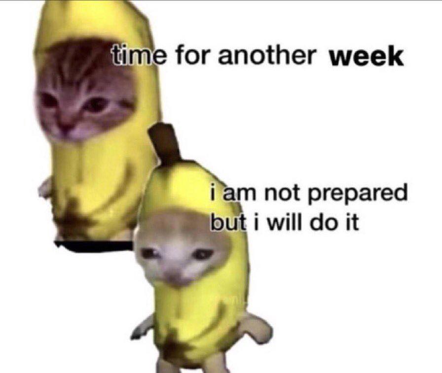 This meme features two images of a cat wearing a banana costume, with the text "time for another week" and "i am not prepared but i will do it" overlaid on the images. The cat's expression is one of resignation and determination, implying that it's not ready for another week of work or responsibilities. The meme is likely used to express a sense of dread or reluctance when facing a new week or a challenging situation.