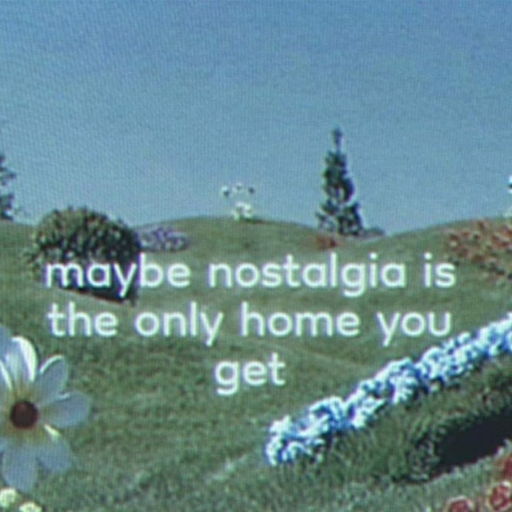 The meme is a humorous take on the concept of nostalgia. It features a picture of a serene, idyllic landscape with a few trees and flowers, but the text overlay "maybe nostalgia is the only home you get" suggests that the idea of a peaceful, comforting place is actually the only thing that feels like a true home.