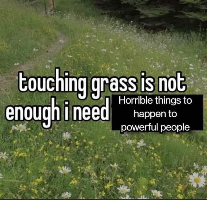 This meme features a screenshot of a person's post on a social media platform, expressing their feelings of vulnerability and desperation. The text reads: "I need to be touched by someone, but I'm so isolated that I don't know who to ask." The meme is captioned "I need to be touched by someone, but I'm so isolated that I don't know who to ask" and "touching grass is not enough, I need human touch".