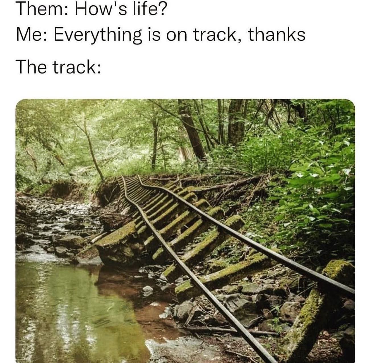 This meme is a humorous take on the idea that someone's life is going well. The text at the top reads "Them: How's life? Me: Everything is on track, thanks." The image below is a photo of a train track that has been severely damaged and is now lying in a river, with the caption "The track". The meme is saying that despite everything going well, one's life is actually a mess, just like the train track in the image.