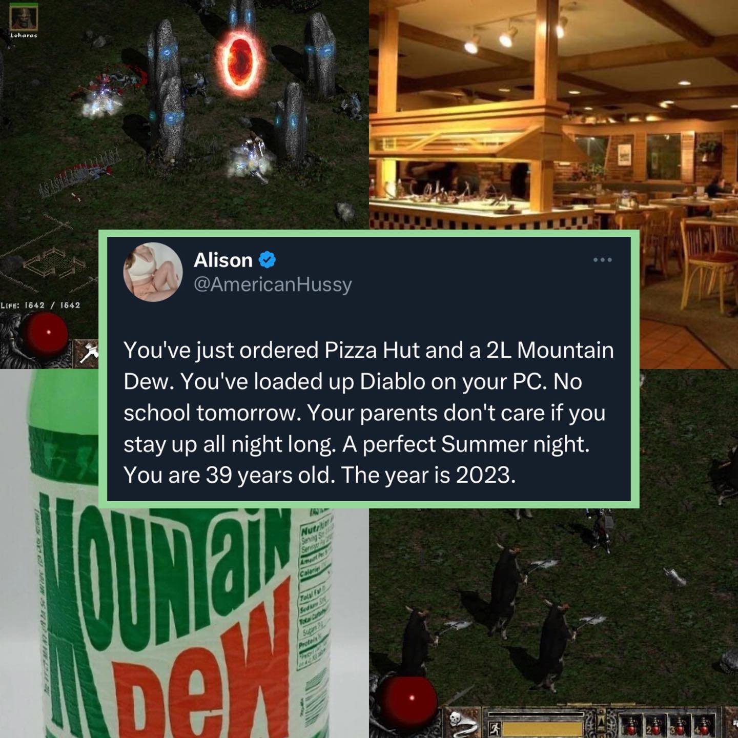 This meme is a screenshot of a tweet from a user named "AmericanHussy" (now known as "Alison" on Twitter) that reads: "You've just ordered Pizza Hut and a 2L Mountain Dew. You've loaded up Diablo on your PC. No school tomorrow. Your parents don't care if you stay up all night. A perfect summer night. You're 39 years old. The year is 2023." The text is set against a background of a 1998-2003 era of internet culture, including a Diablo game screen, a Pizza Hut logo, and a 2L Mountain Dew bottle.
